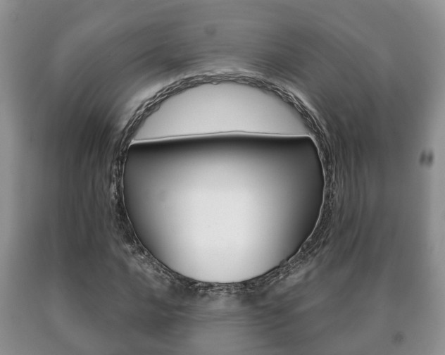 X0000091061016200708060955