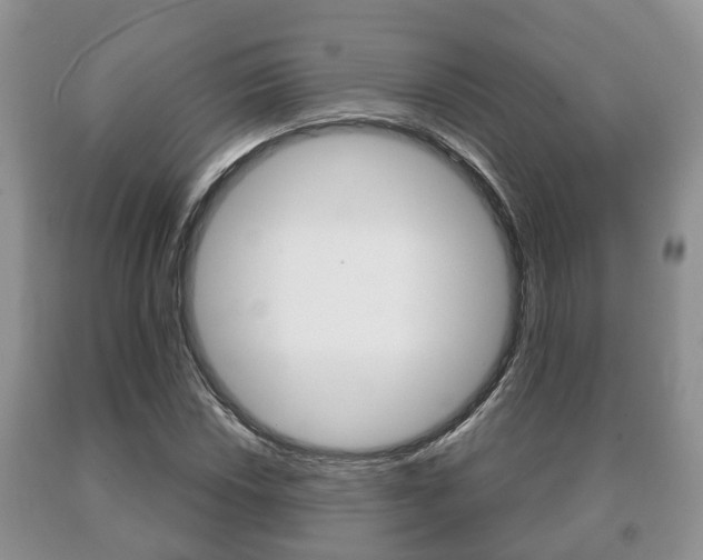 X0000091061018200708060955