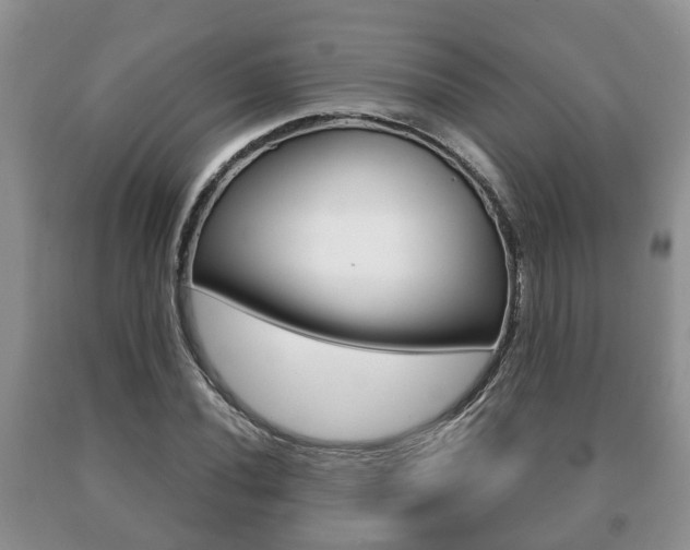 X0000091061020200708060955