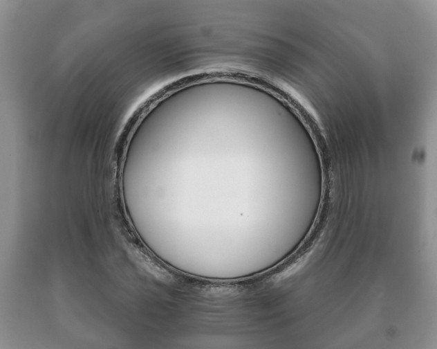 X0000091061021200708060955