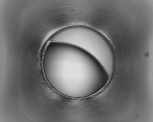 X0000091061022200708060955