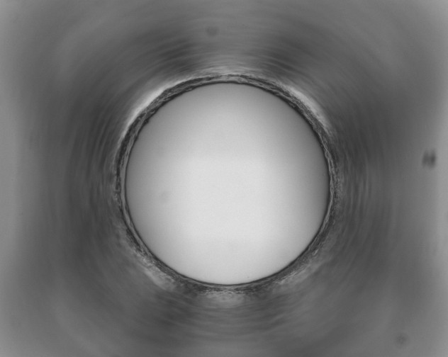 X0000091061023200708060955