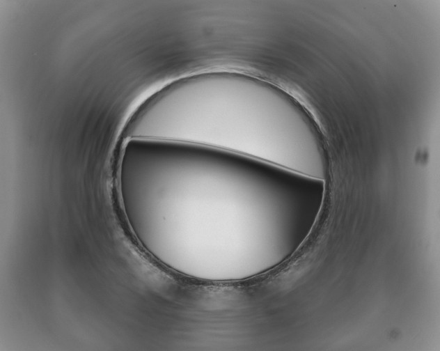 X0000091061024200708060955