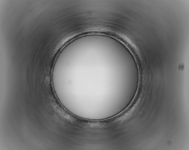 X0000091061025200708060955