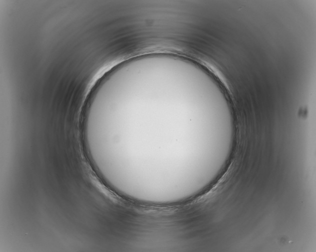 X0000091061026200708060955