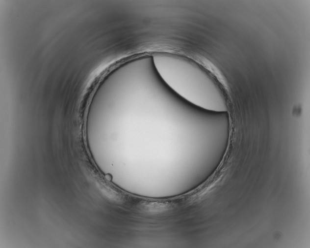 X0000091061027200708060955