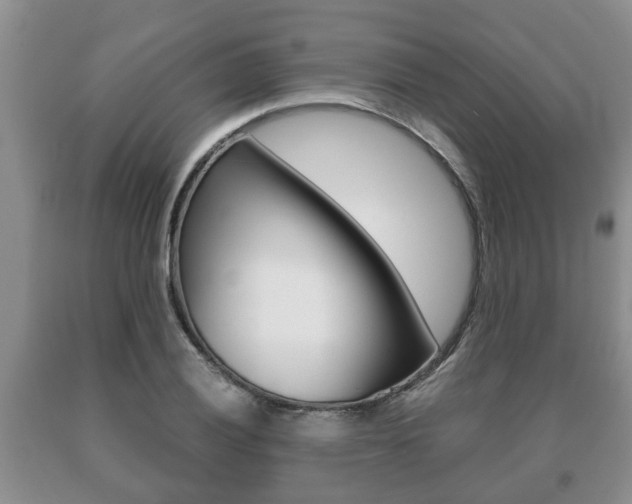 X0000091061028200708060955