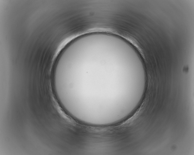X0000091061030200708060955