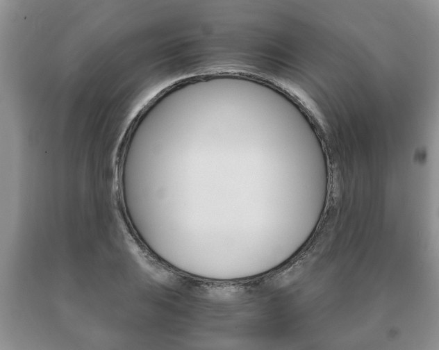 X0000091061031200708060955