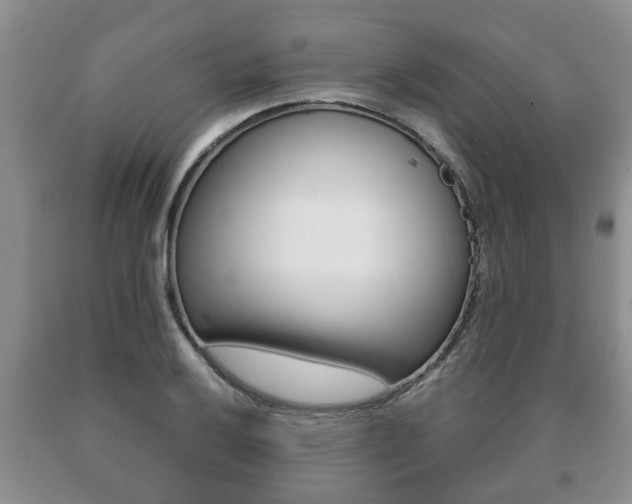 X0000091061032200708060955