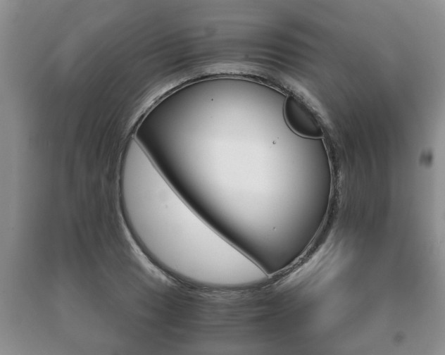 X0000091061033200708060955