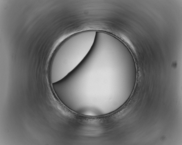 X0000091061035200708060955