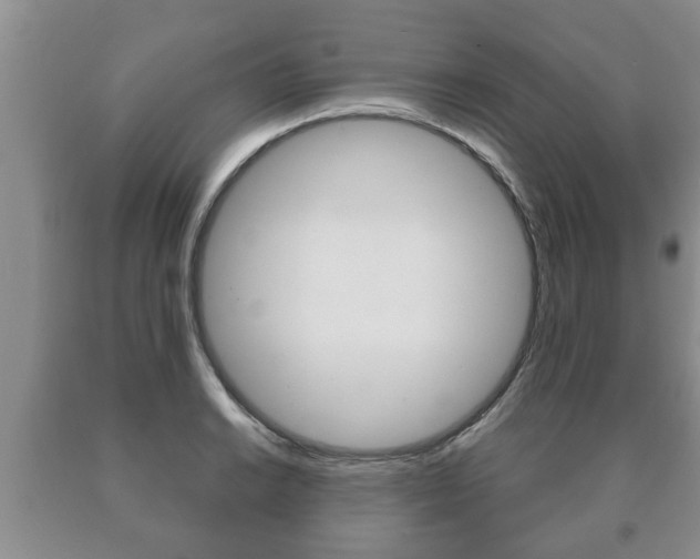X0000091061038200708060955