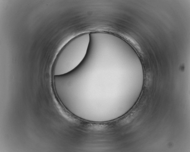 X0000091061039200708060955