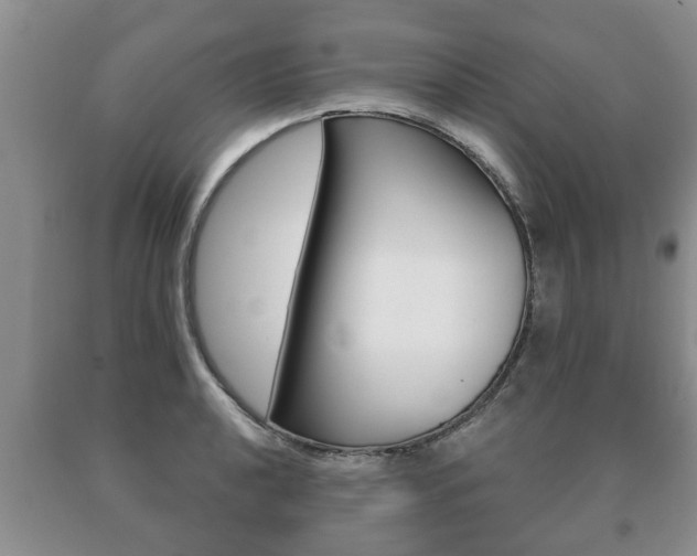 X0000091061040200708060955