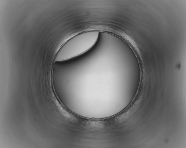 X0000091061041200708060955