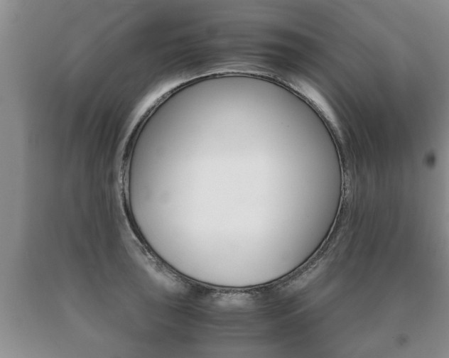 X0000091061043200708060955