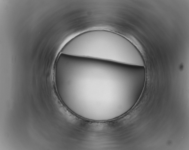 X0000091061044200708060955