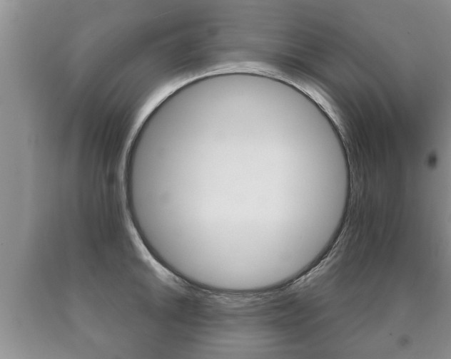 X0000091061046200708060955