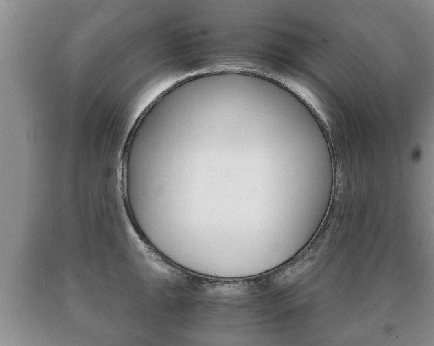X0000091061047200708060955