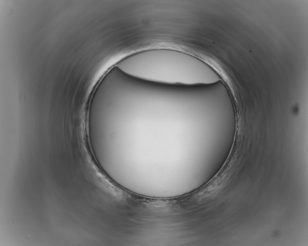 X0000091061048200708060955