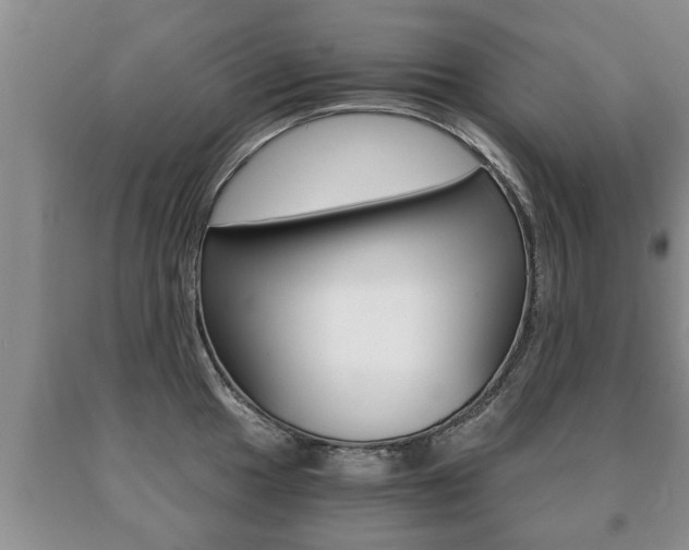 X0000091061049200708060955