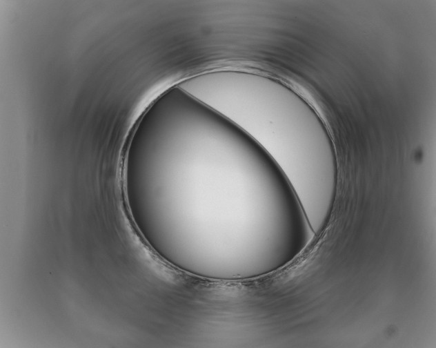 X0000091061050200708060955