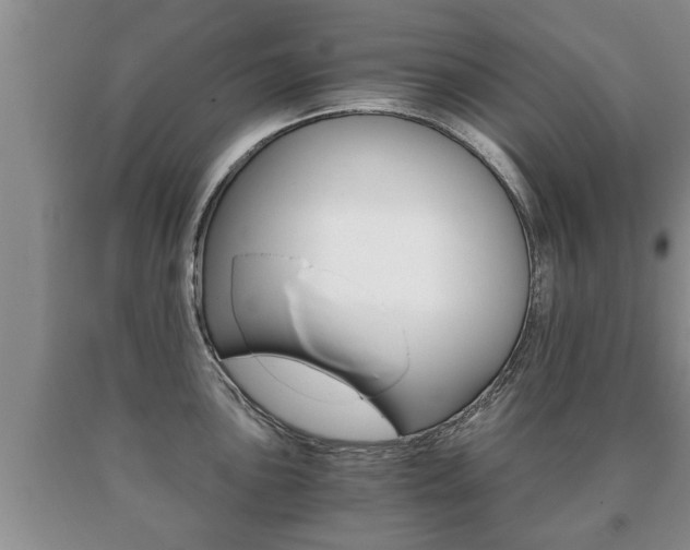 X0000091061051200708060955