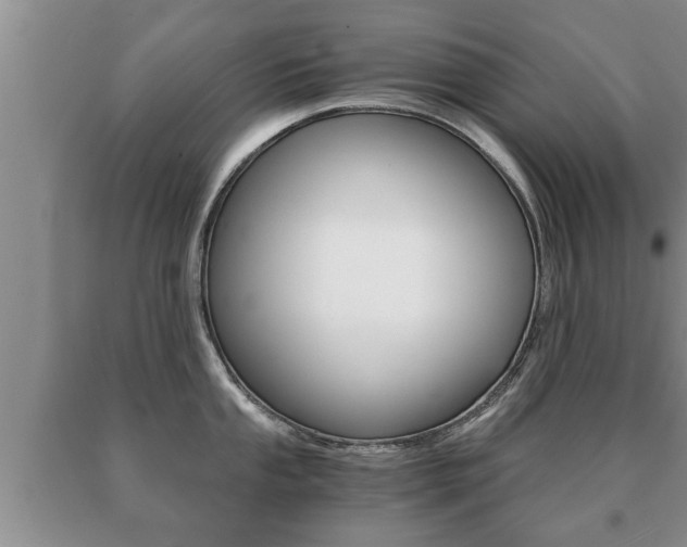 X0000091061053200708060955