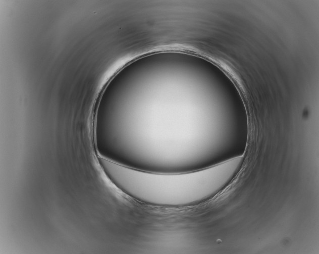 X0000091061054200708060955