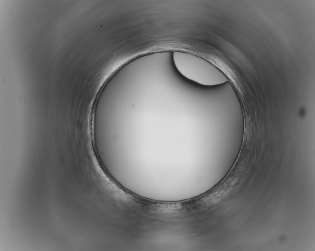 X0000091061055200708060955