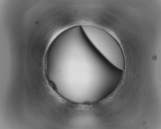 X0000091061056200708060955