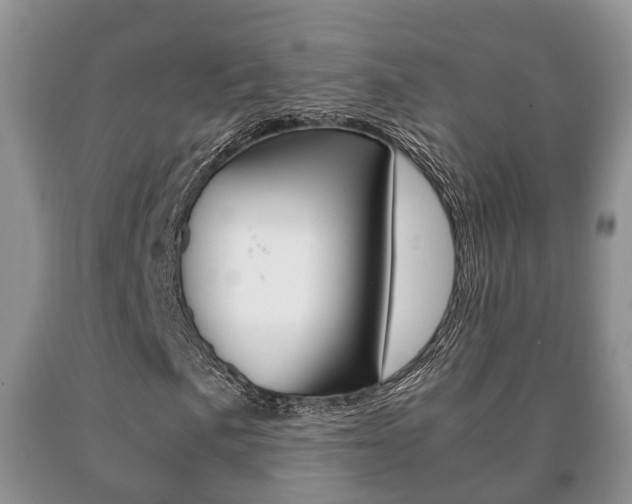 X0000091061057200708060955