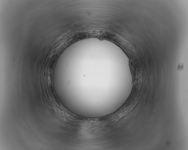 X0000091061058200708060955