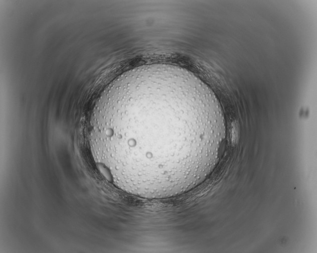 X0000091061059200708060955