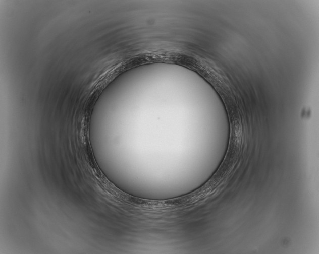 X0000091061060200708060955