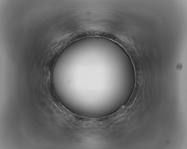 X0000091061061200708060955