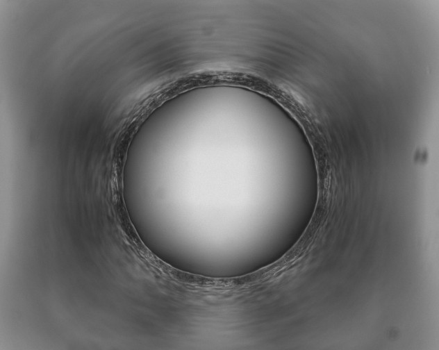 X0000091061062200708060955