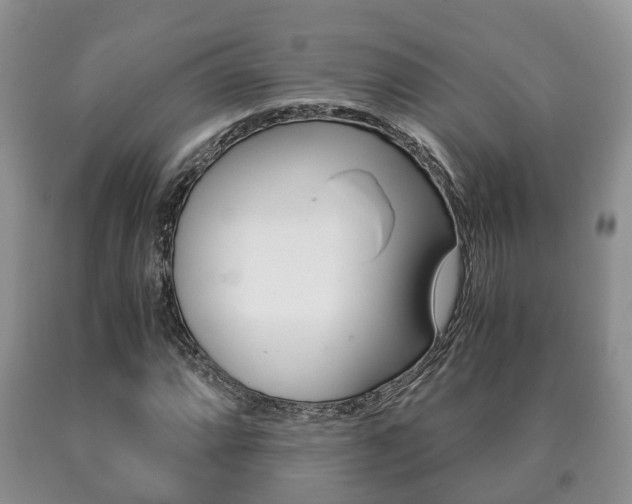 X0000091061064200708060955