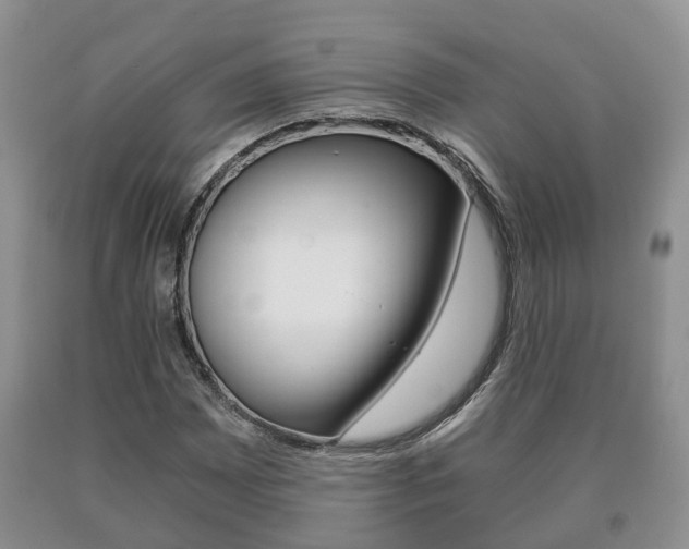 X0000091061065200708060955