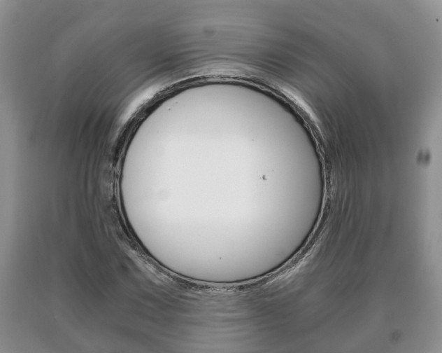 X0000091061067200708060955