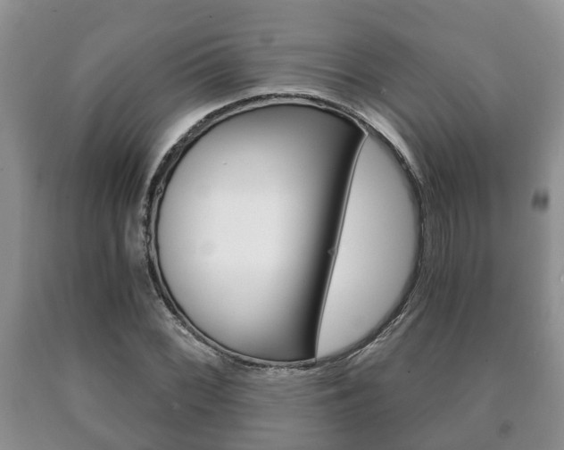 X0000091061068200708060955