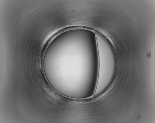 X0000091061069200708060955