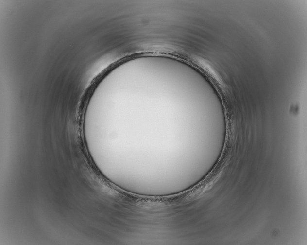 X0000091061071200708060955