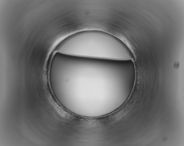 X0000091061072200708060955