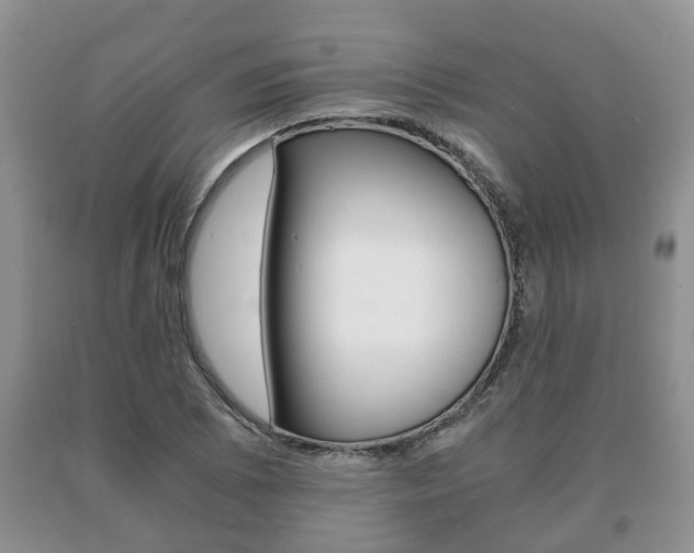 X0000091061073200708060955