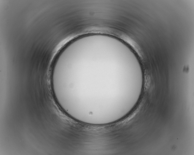X0000091061074200708060955