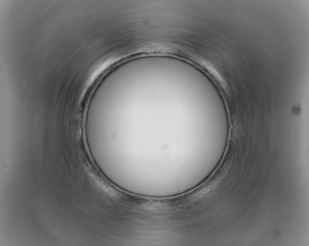X0000091061075200708060955