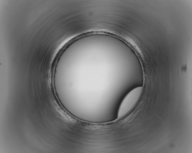 X0000091061076200708060955