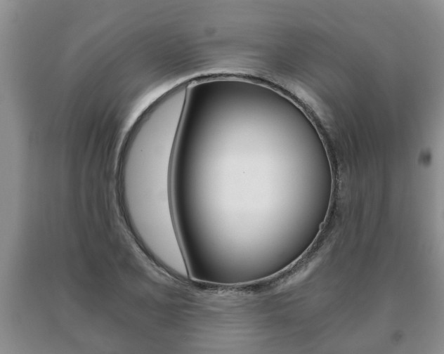 X0000091061077200708060955